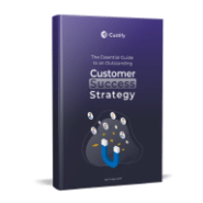 Customer Success Strategy Guide